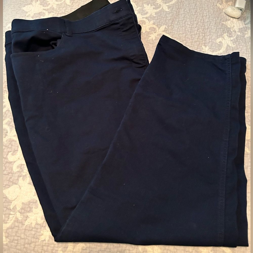 Stitch Fix Violets & Roses Navy Pants Women’s Size 24